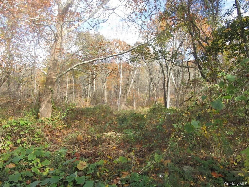 3766 Foothill Street, Mohegan Lake