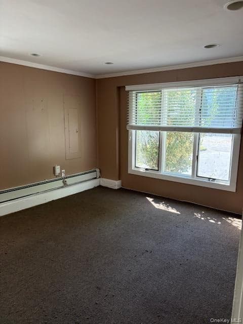 48 Milland Drive thumbnail 5