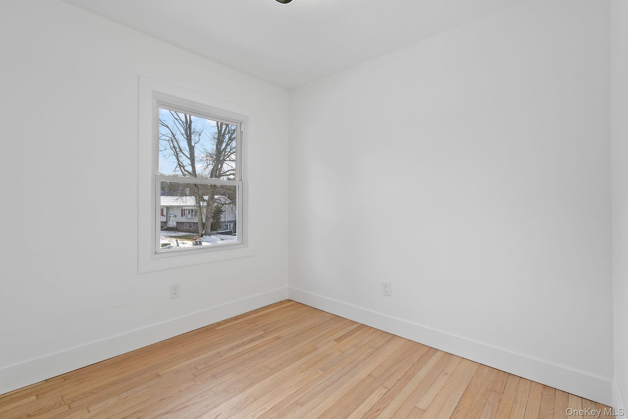 52 Rudolph Road thumbnail 19