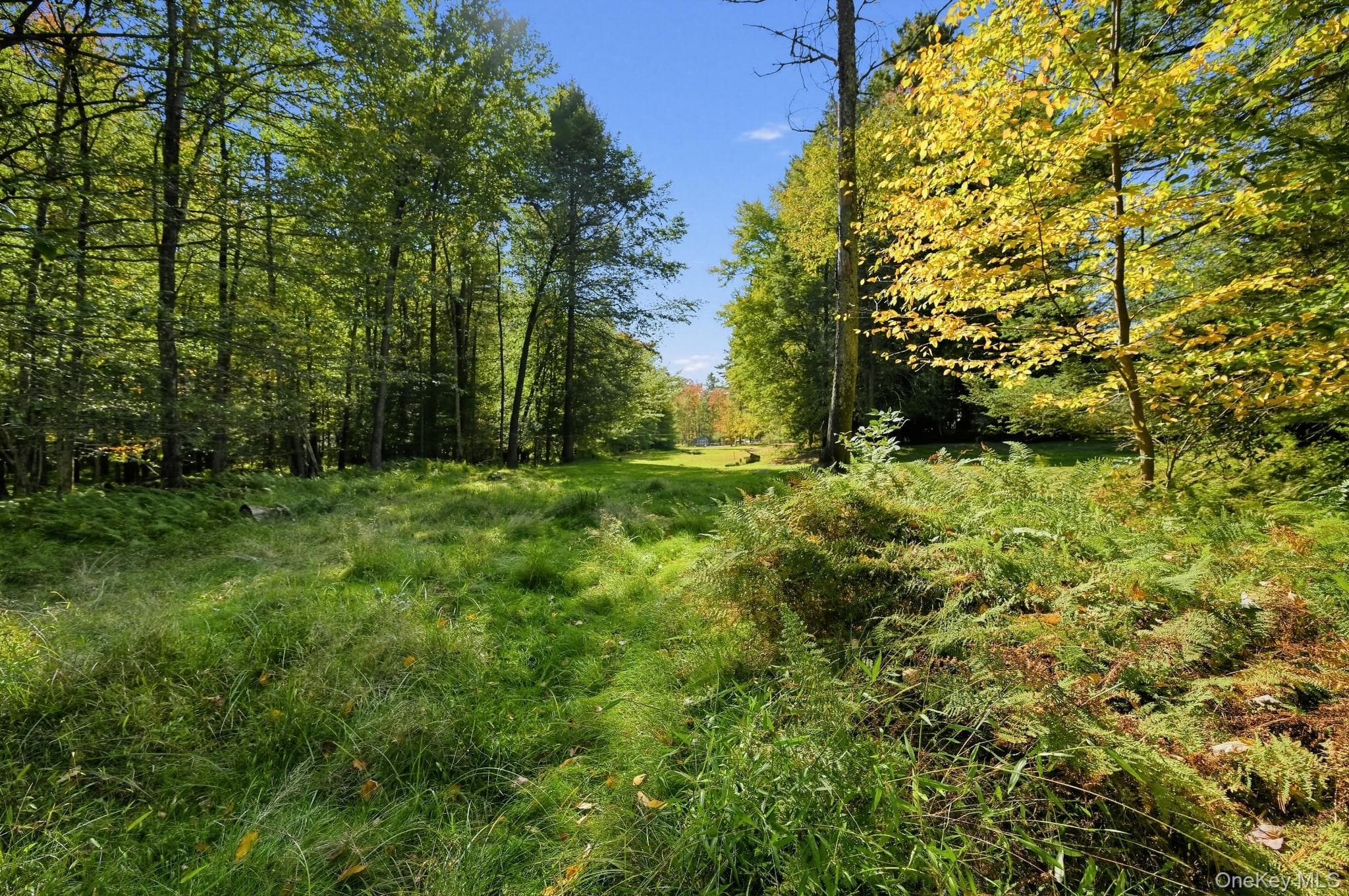 118 Weiser Road, Ellenville