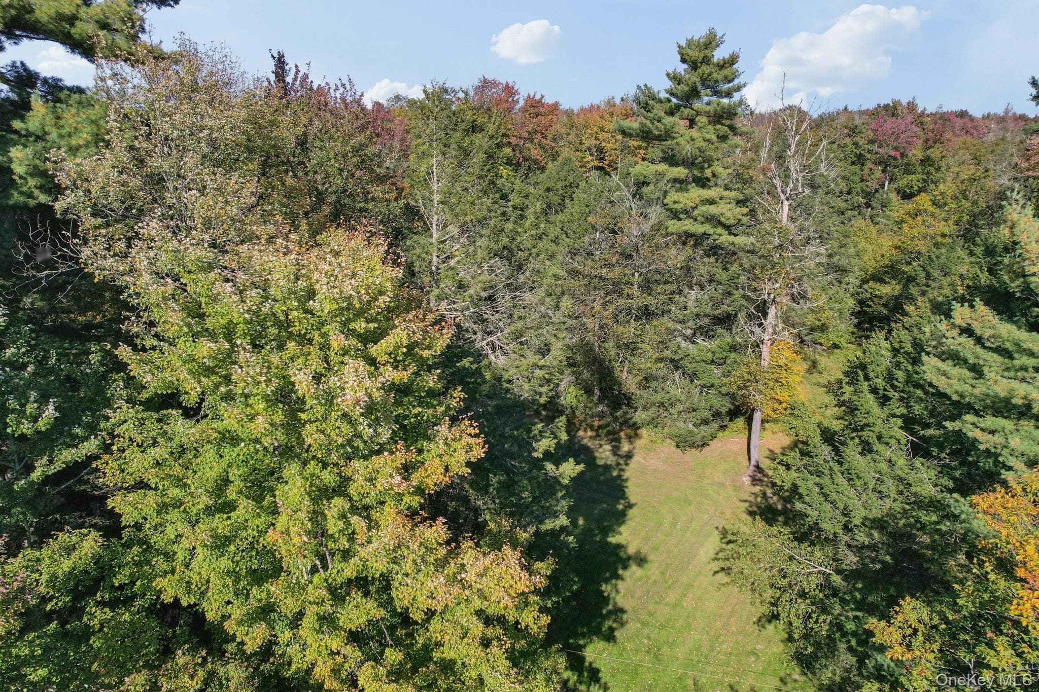 118 Weiser Road thumbnail 9
