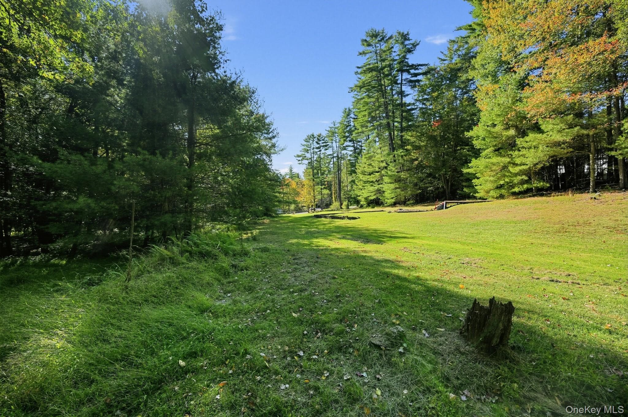 118 Weiser Road thumbnail 8