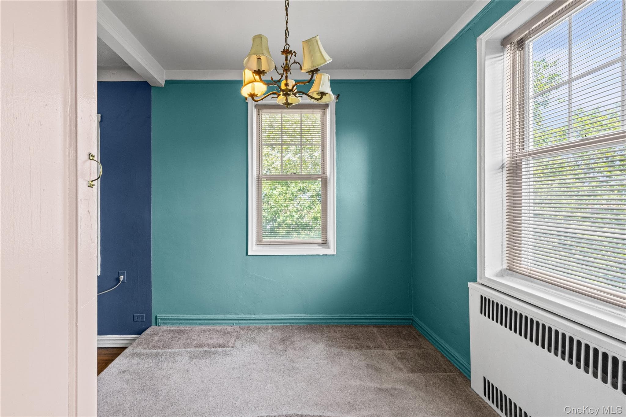 7714 113th Street Unit: #6C thumbnail 17
