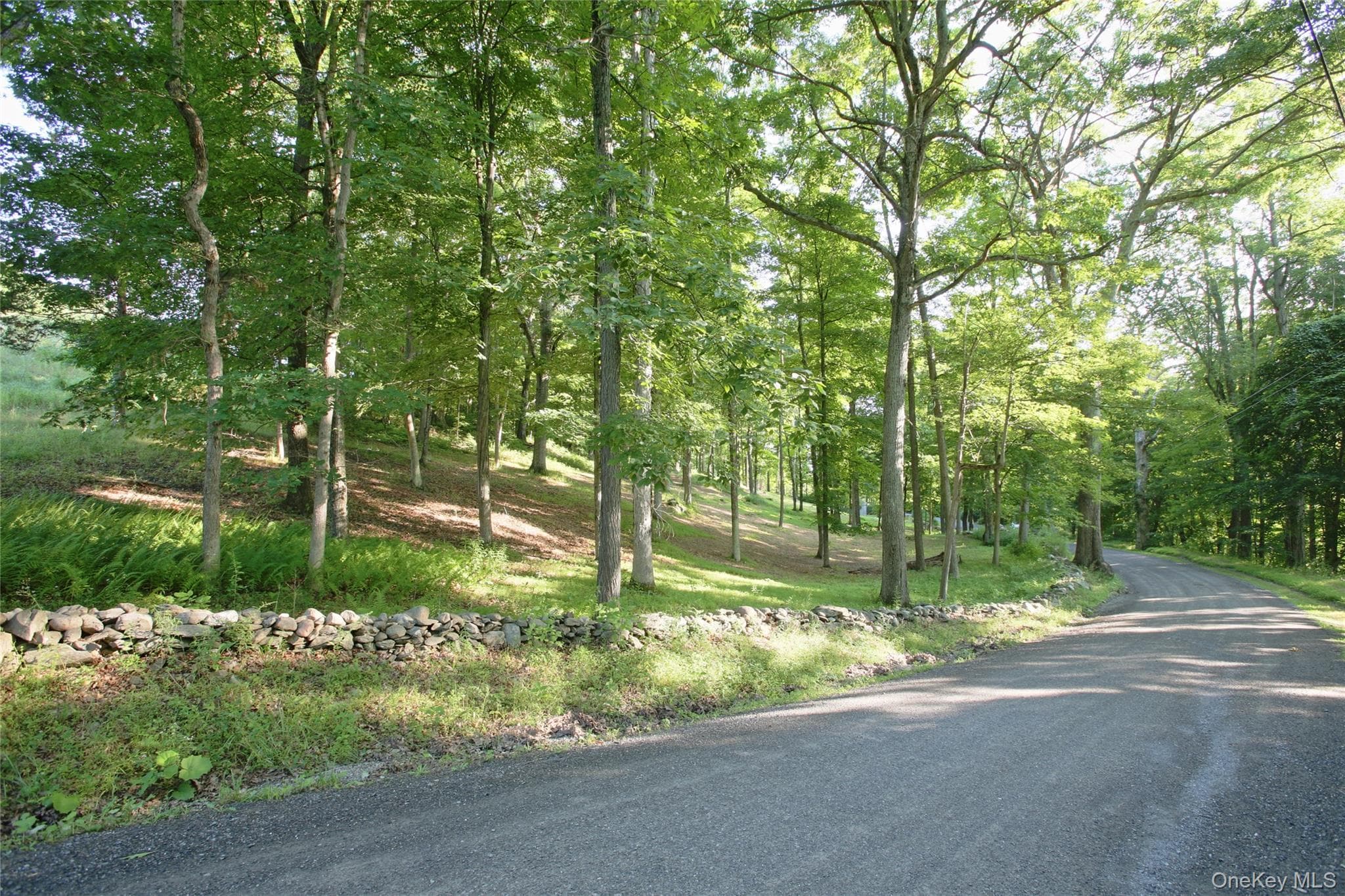 Pond Road thumbnail 11