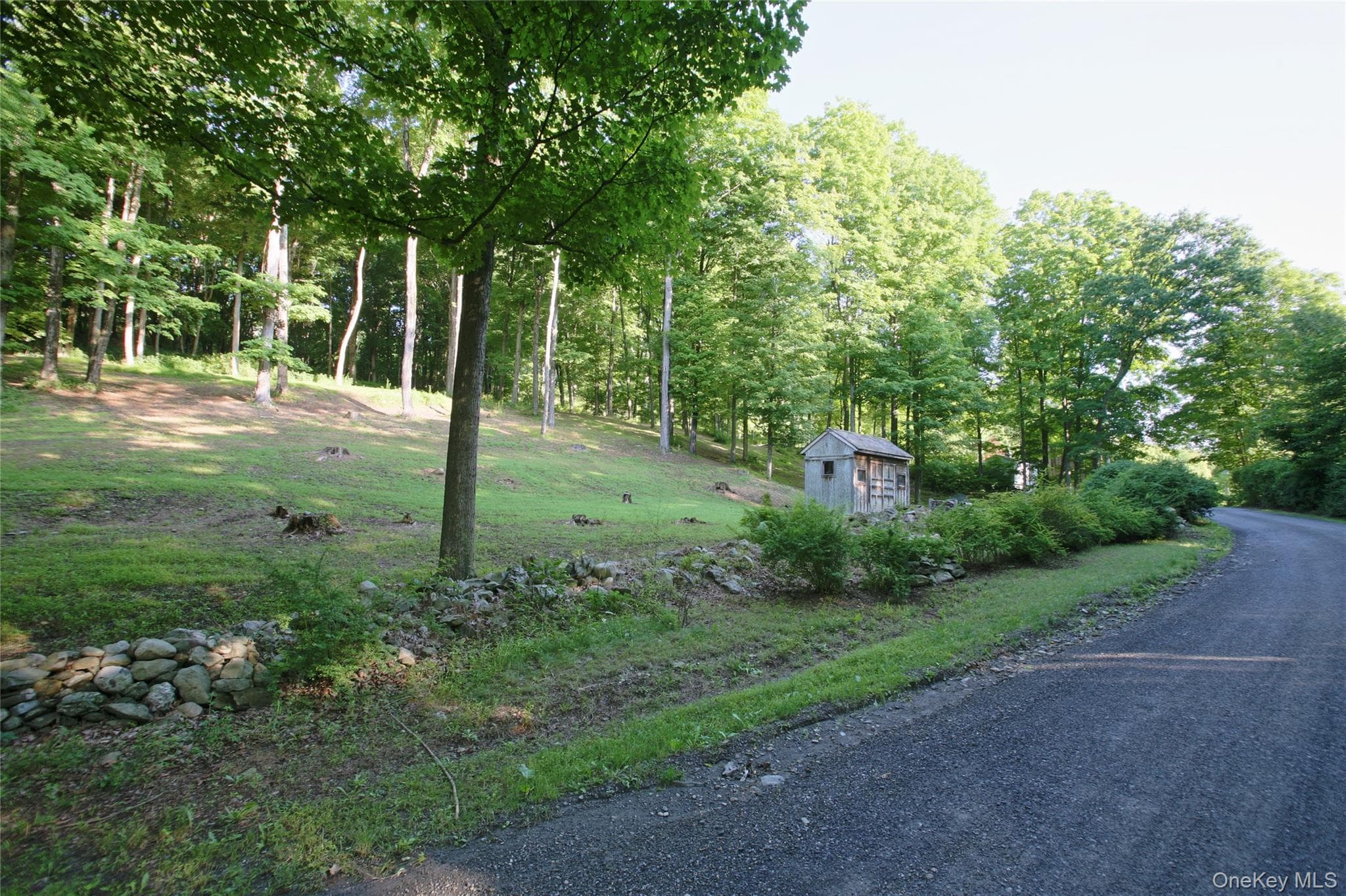 Pond Road thumbnail 6