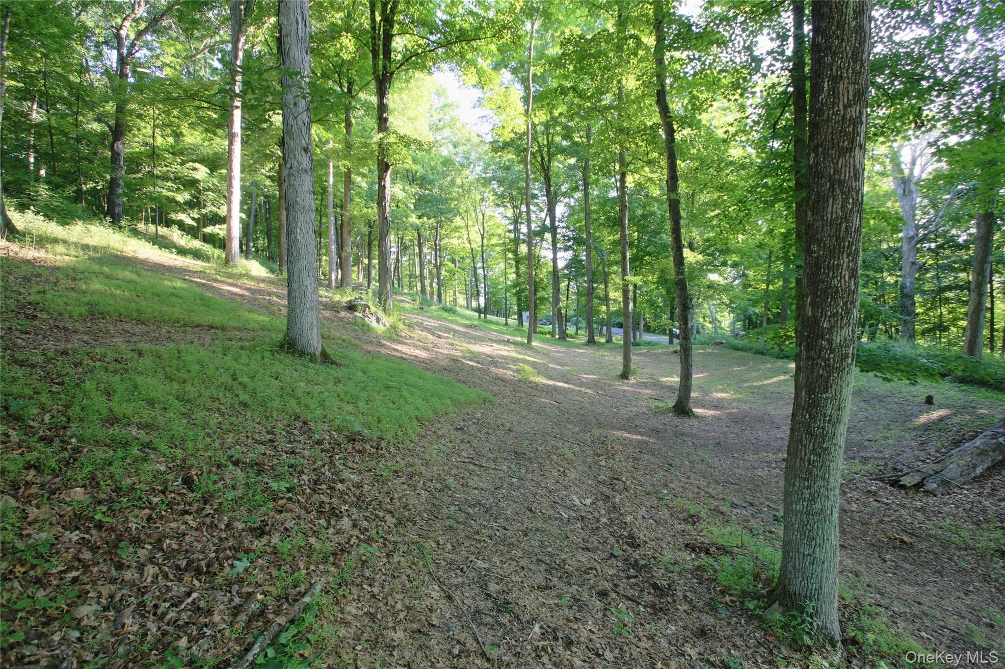 Pond Road thumbnail 13