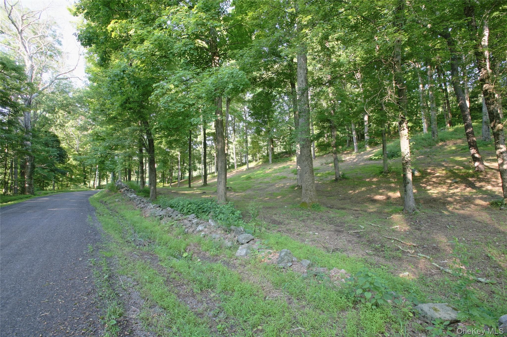 Pond Road thumbnail 7