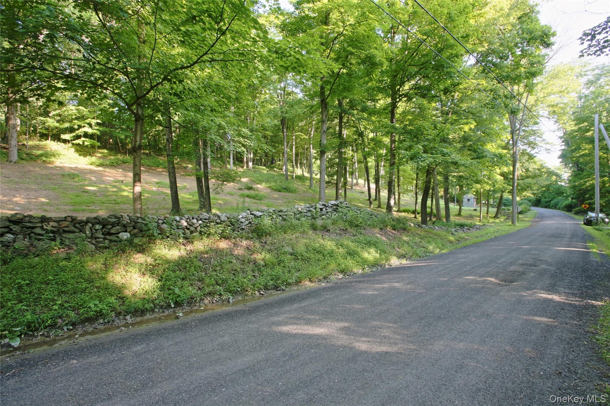 Pond Road thumbnail 10