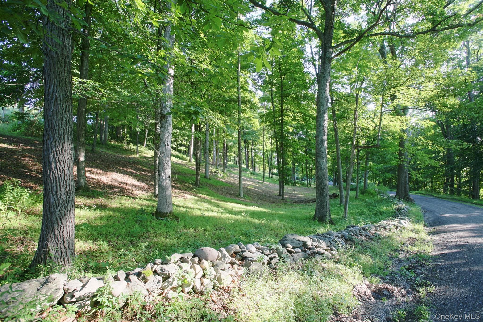 Pond Road thumbnail 12