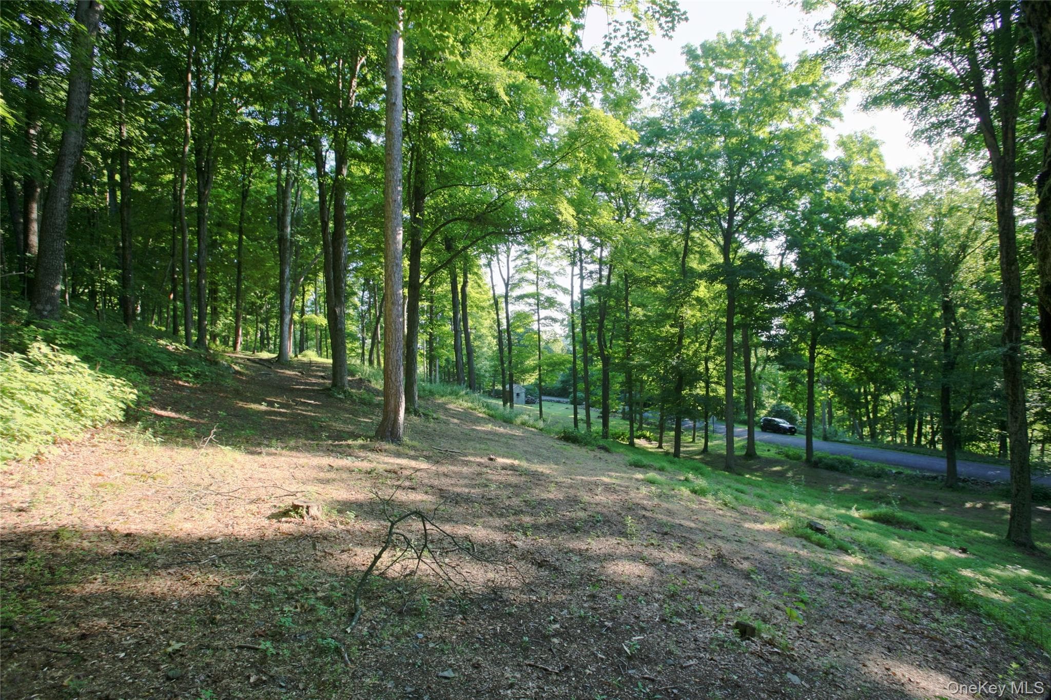 Pond Road thumbnail 15