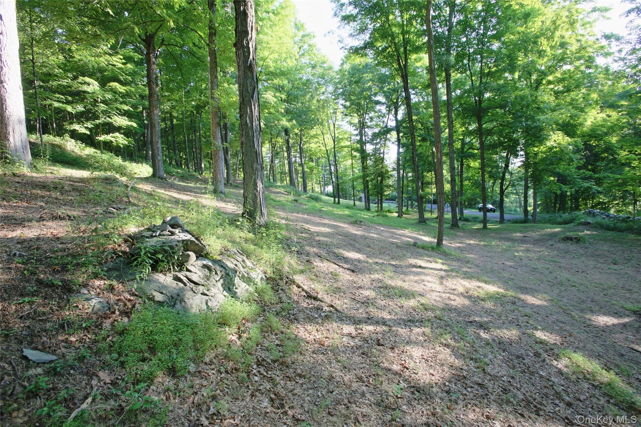 Pond Road thumbnail 14