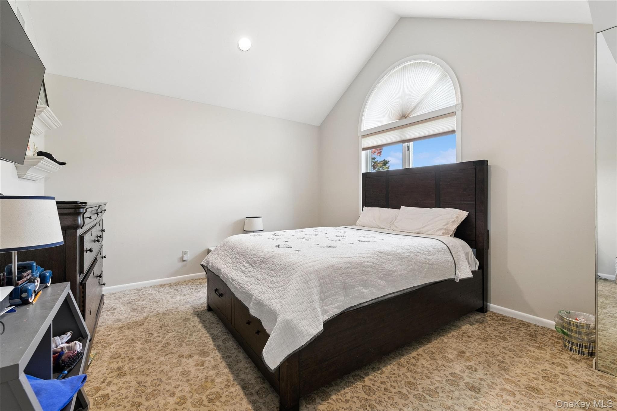 6 Chauncey Place thumbnail 27