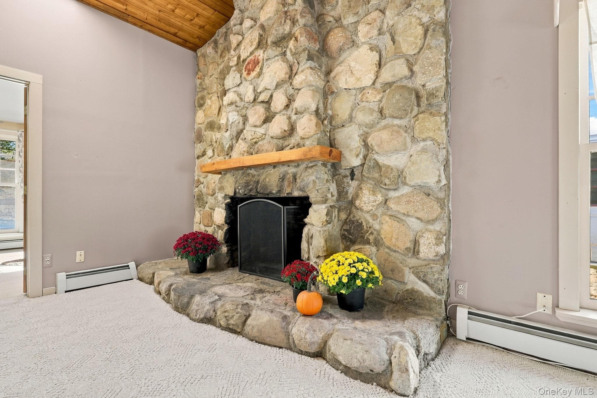 155 Birchwood Drive thumbnail 24