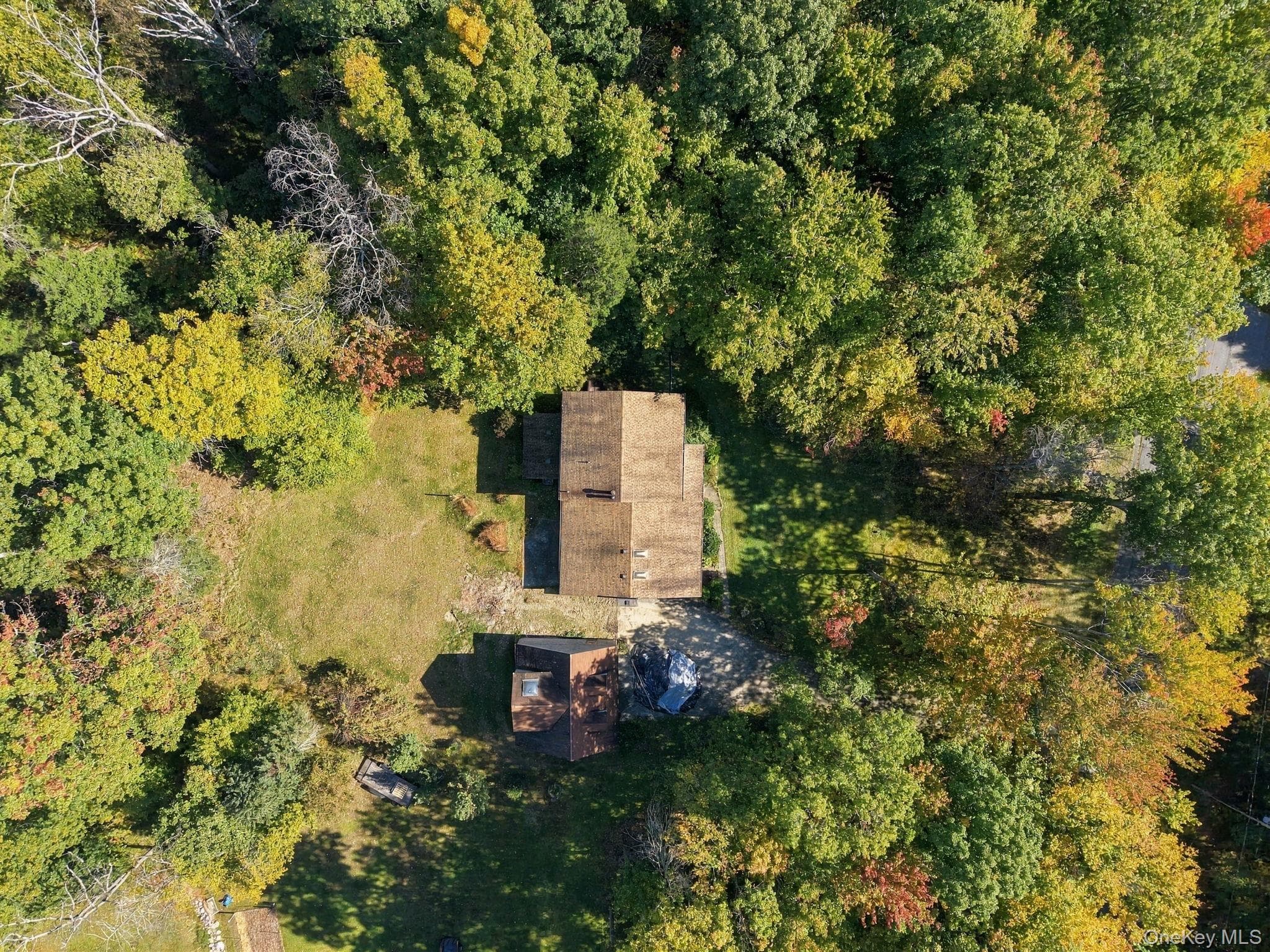 155 Birchwood Drive thumbnail 44