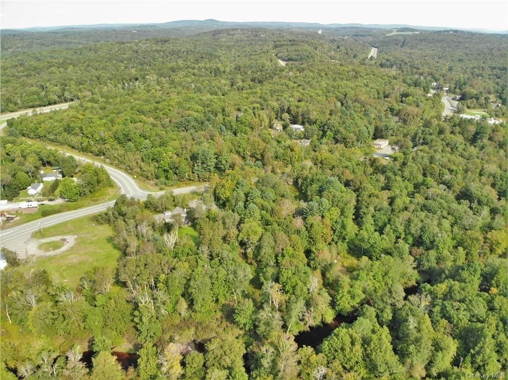 Nys Rt 17 And Old Rt 17 thumbnail 13