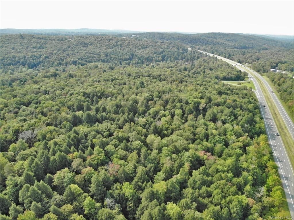 Nys Rt 17 And Old Rt 17 thumbnail 9