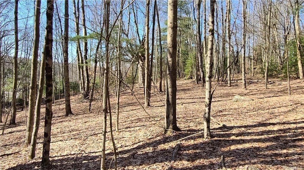 Nys Rt 17 And Old Rt 17 thumbnail 15