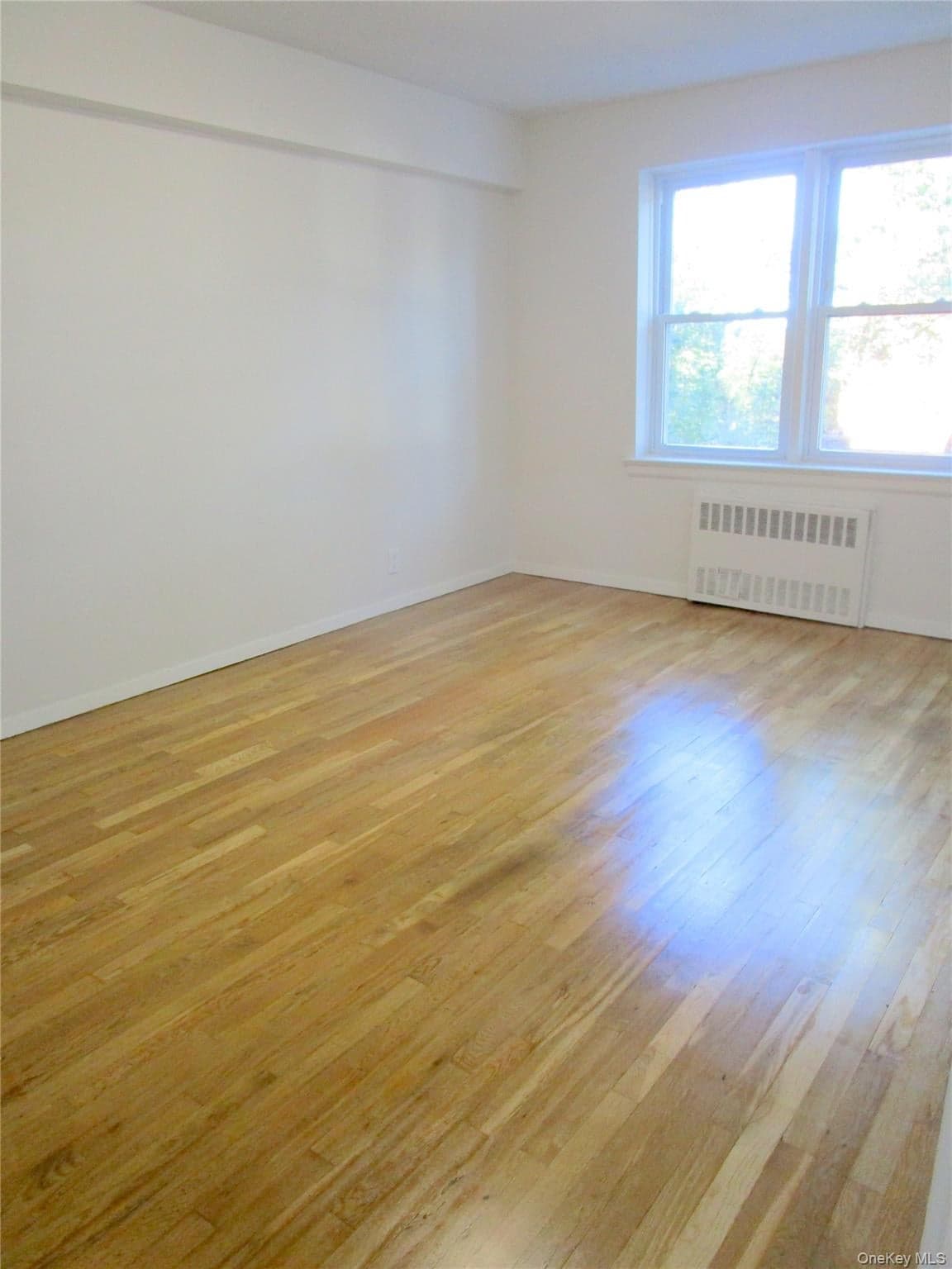 585 Mclean Avenue Unit: 2A thumbnail 27