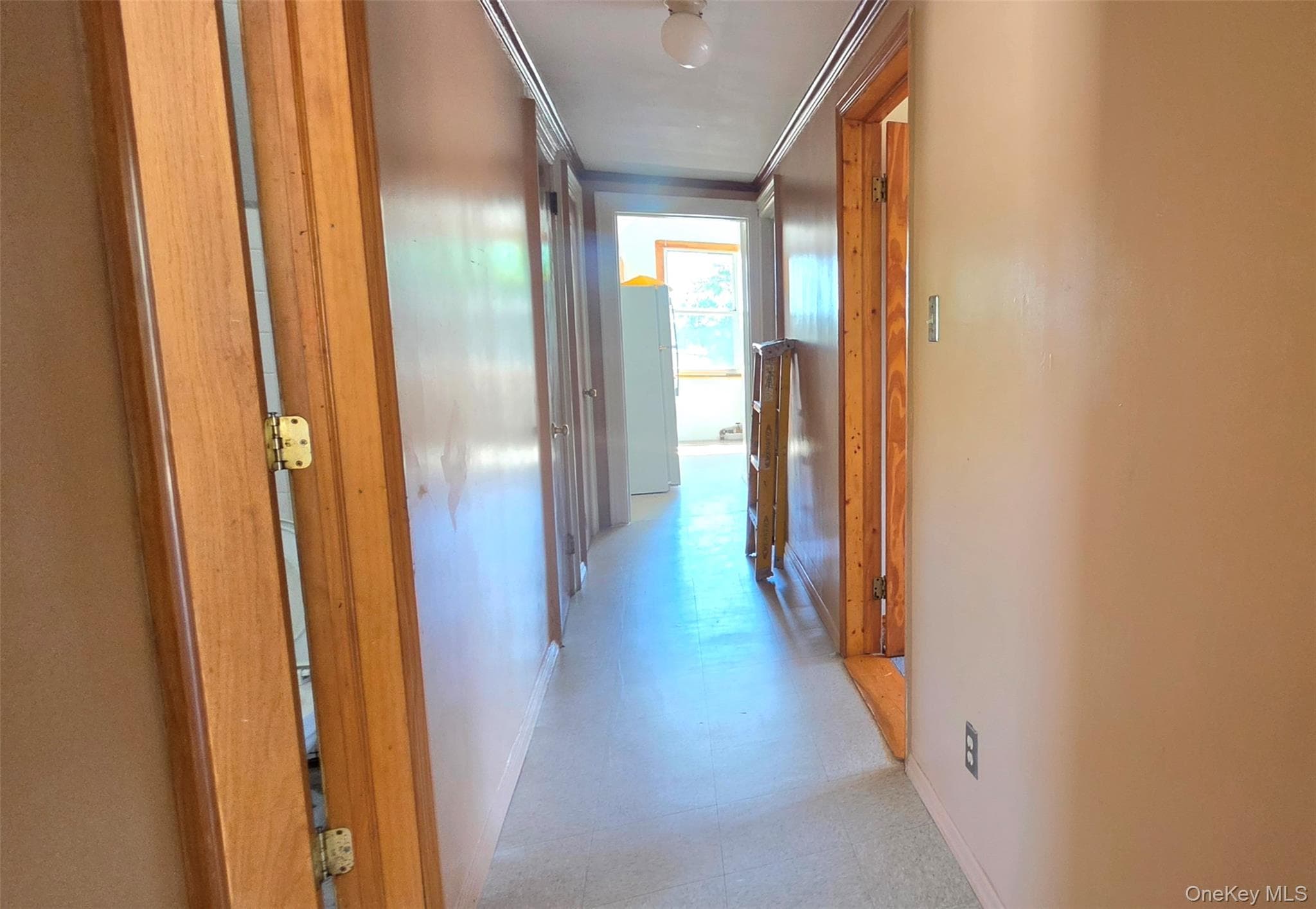 31 Cottage Street thumbnail 24