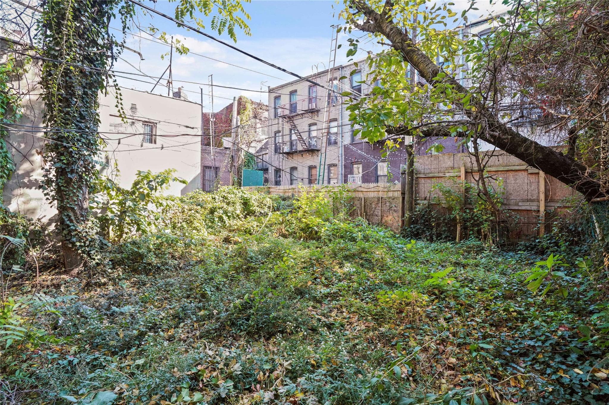 1670 Putnam Avenue thumbnail 19