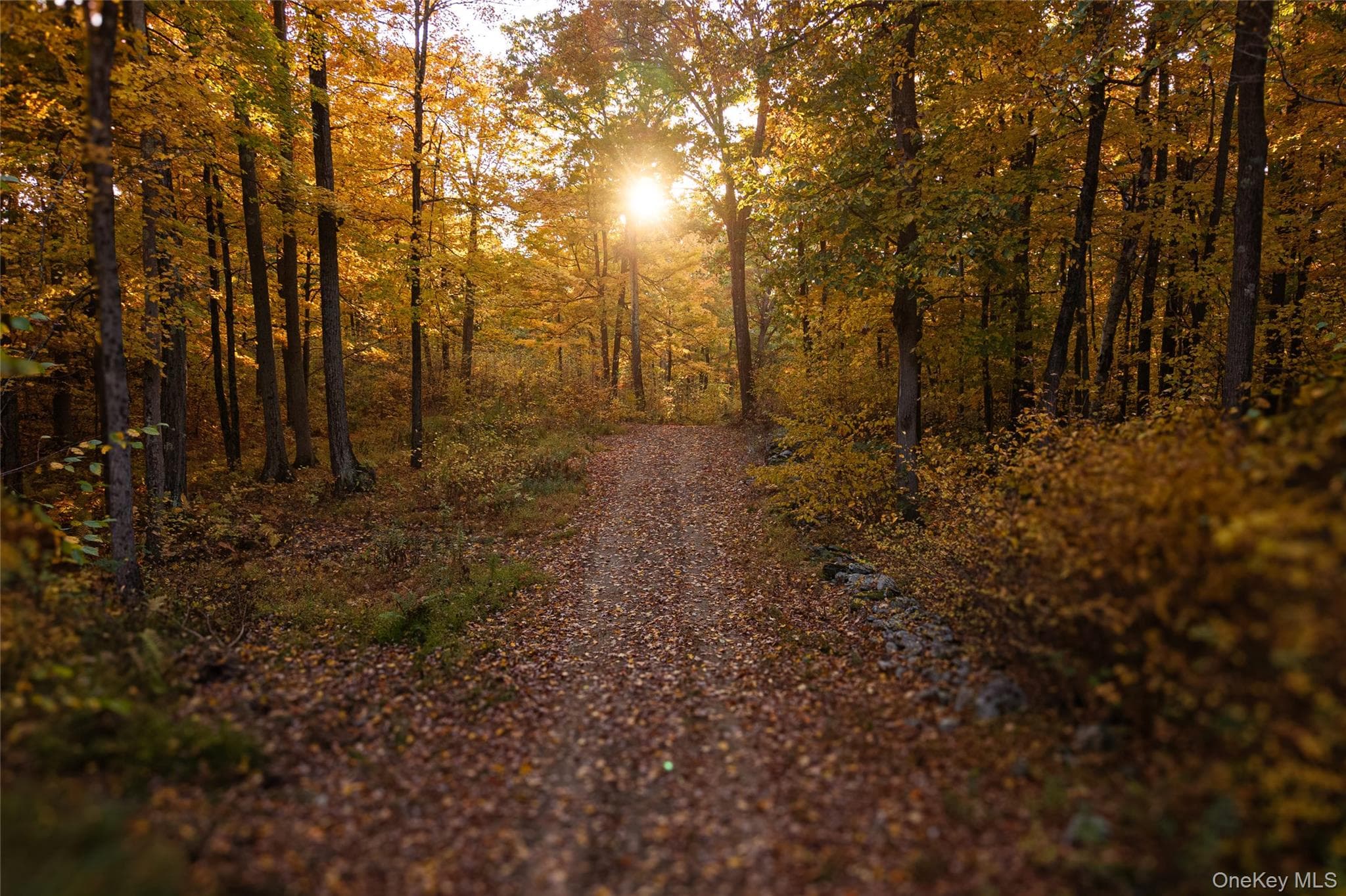 East Klein Road thumbnail 13