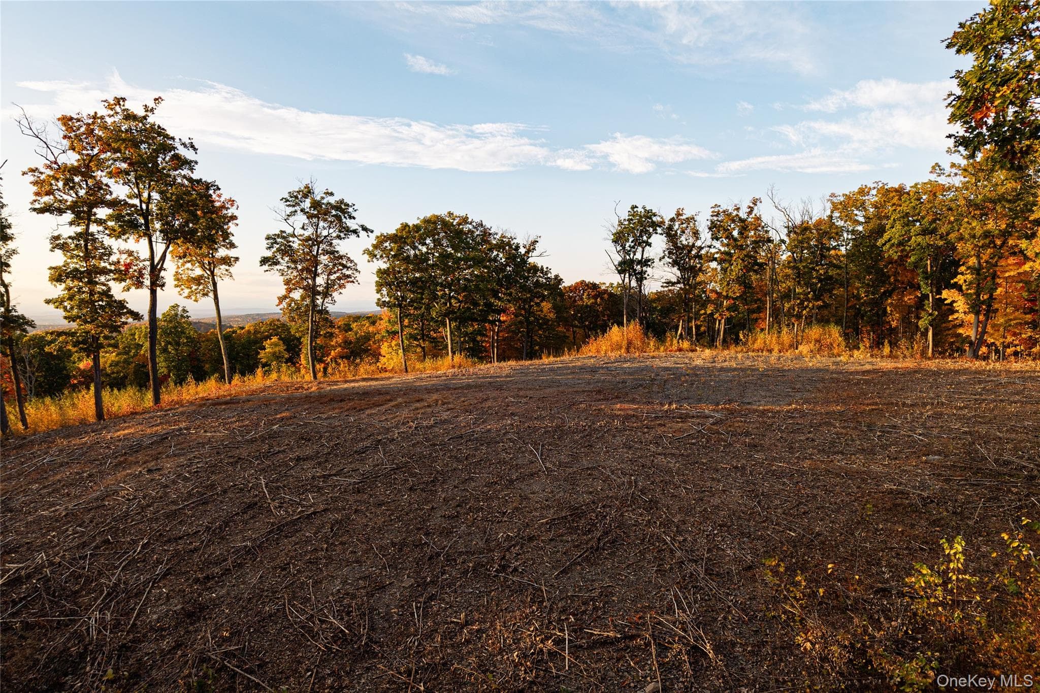 East Klein Road thumbnail 18