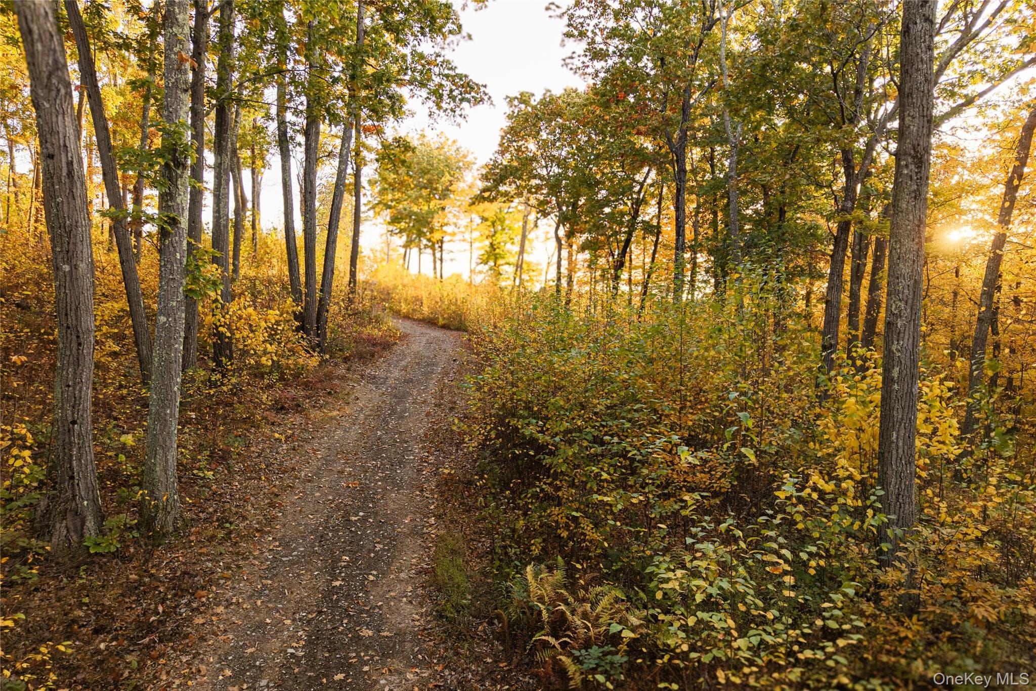East Klein Road thumbnail 15