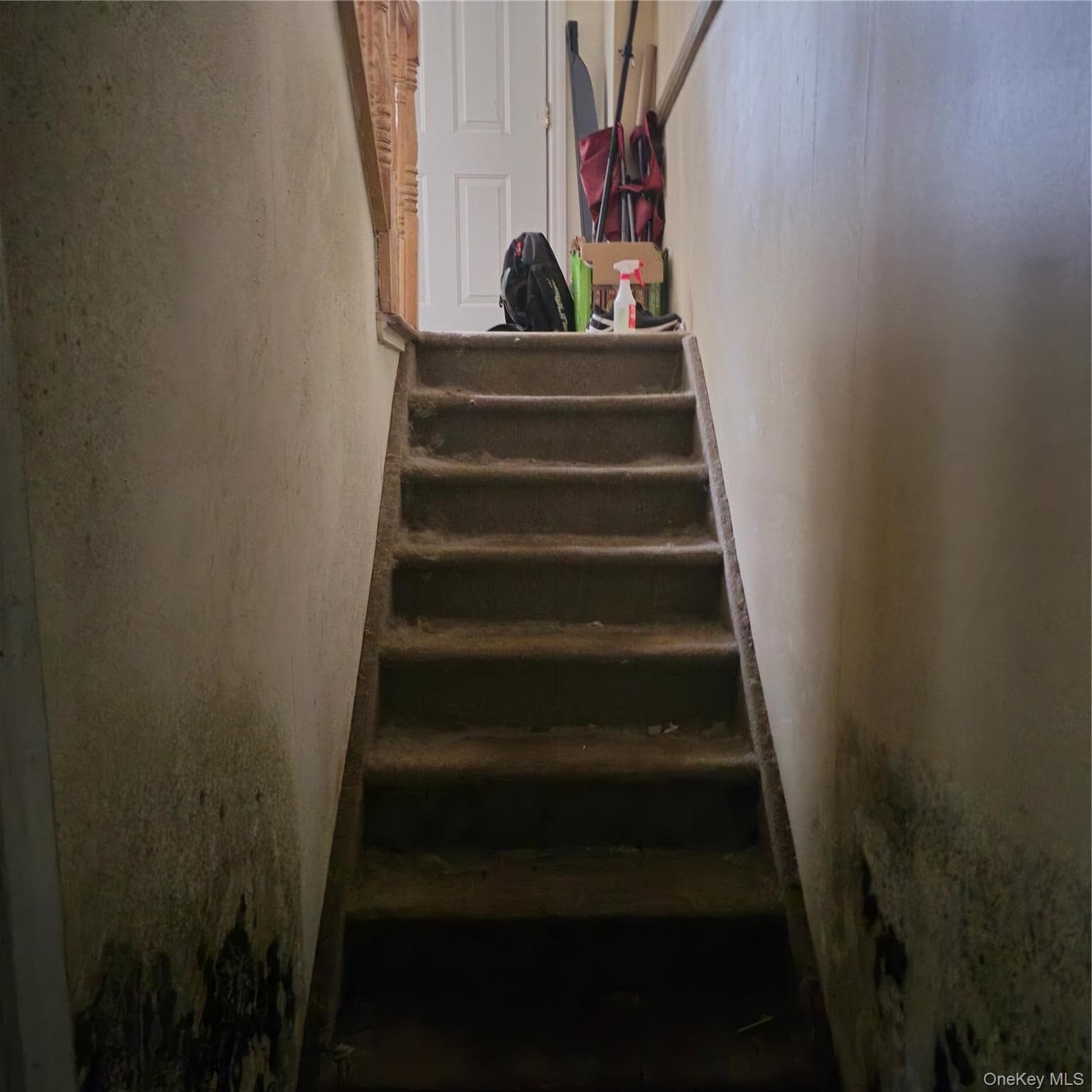 73 Lonergan Drive thumbnail 31