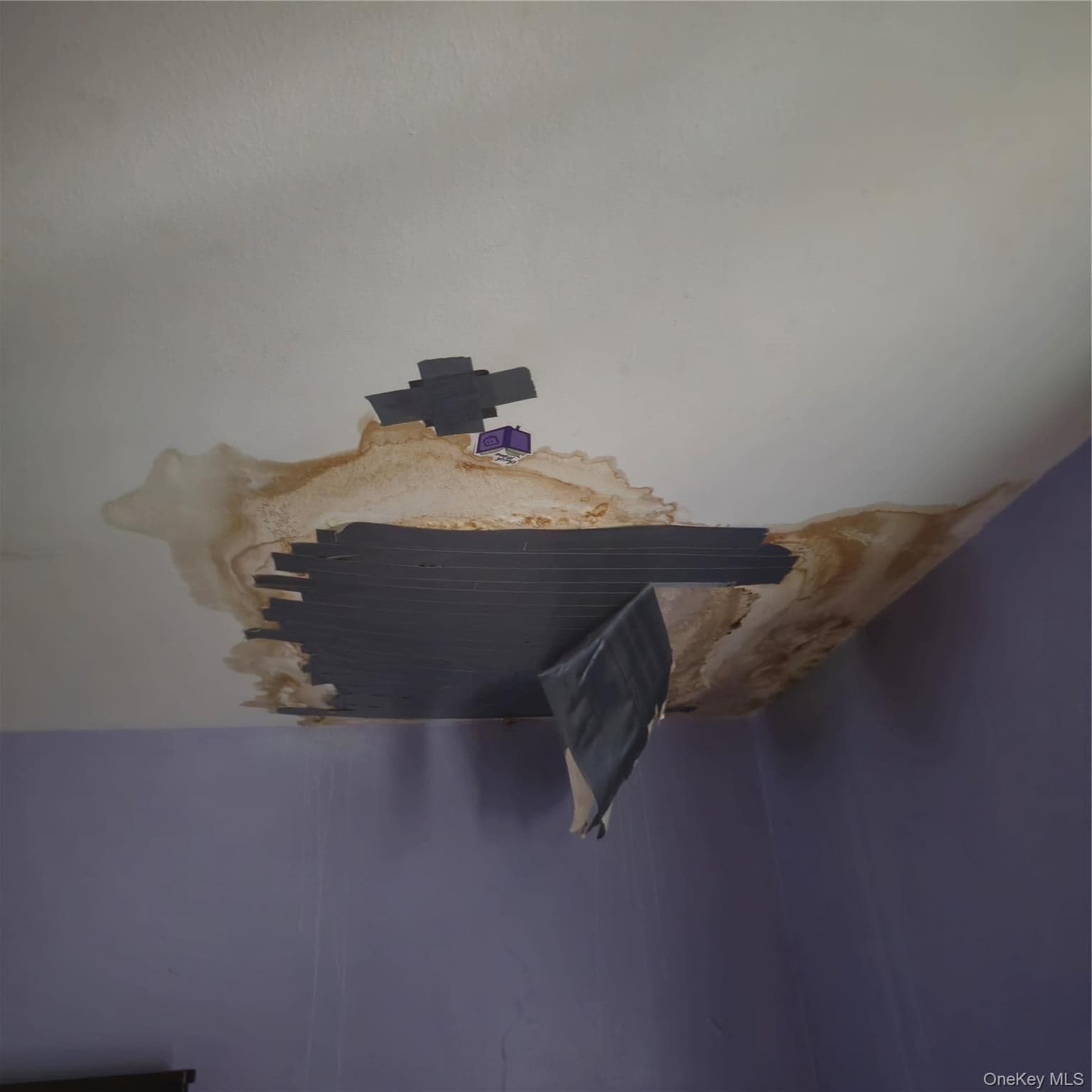 73 Lonergan Drive thumbnail 28