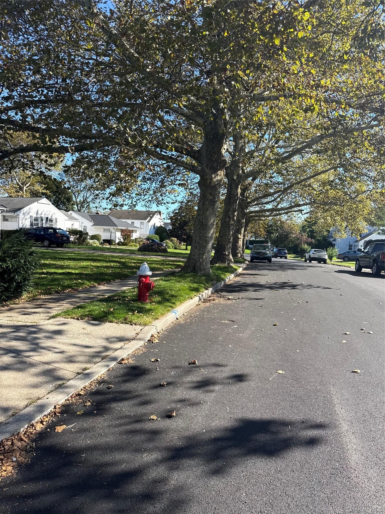 435 Derby Road thumbnail 3