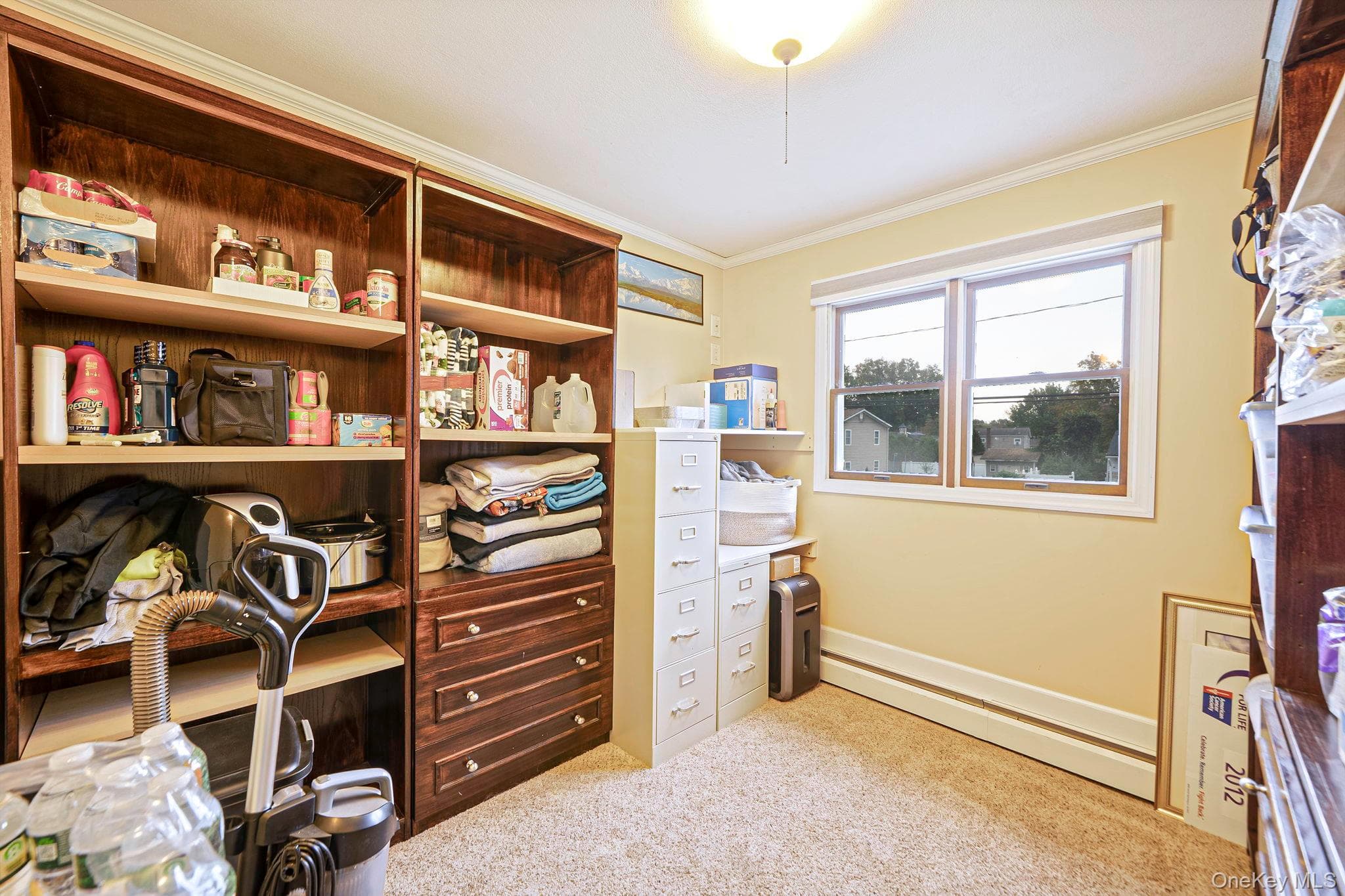 247 Orourke Street thumbnail 25