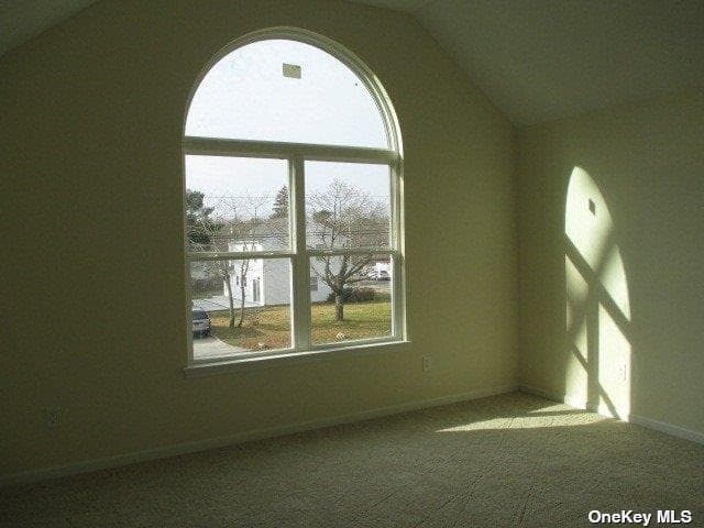 427 Macdonald Avenue thumbnail 18
