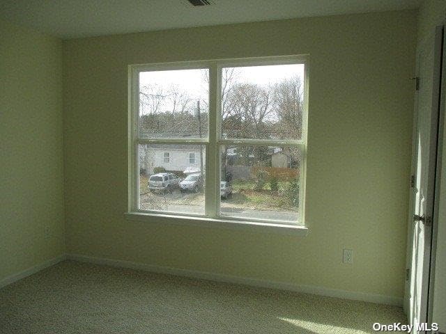 427 Macdonald Avenue thumbnail 16