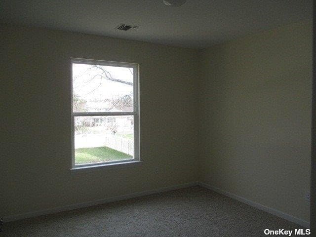 427 Macdonald Avenue thumbnail 15
