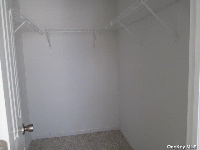 427 Macdonald Avenue thumbnail 20