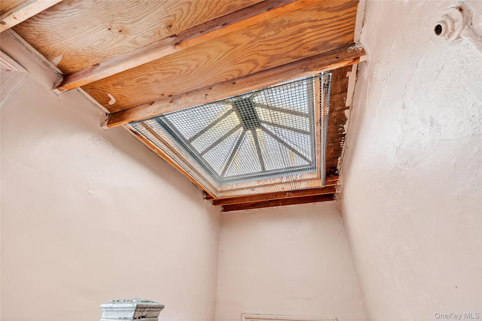 759 E 221st Street thumbnail 35