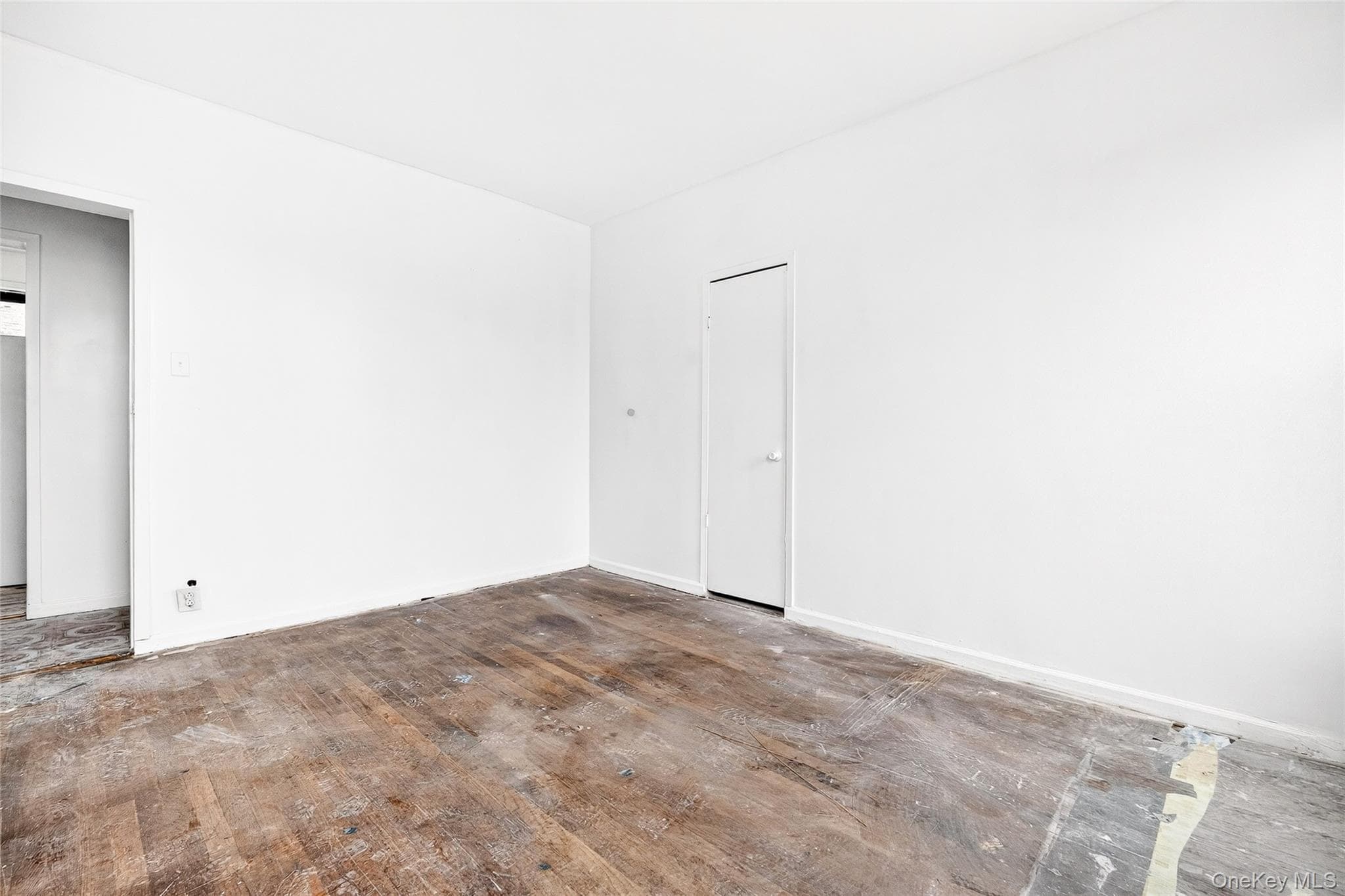 759 E 221st Street thumbnail 33