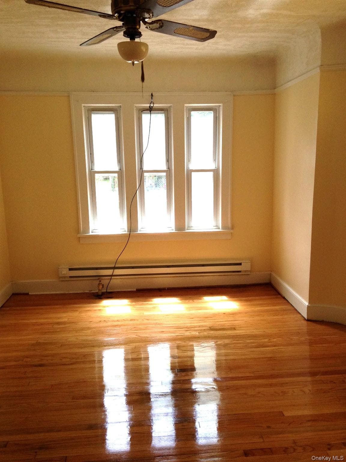 1 Hammond Street thumbnail 3