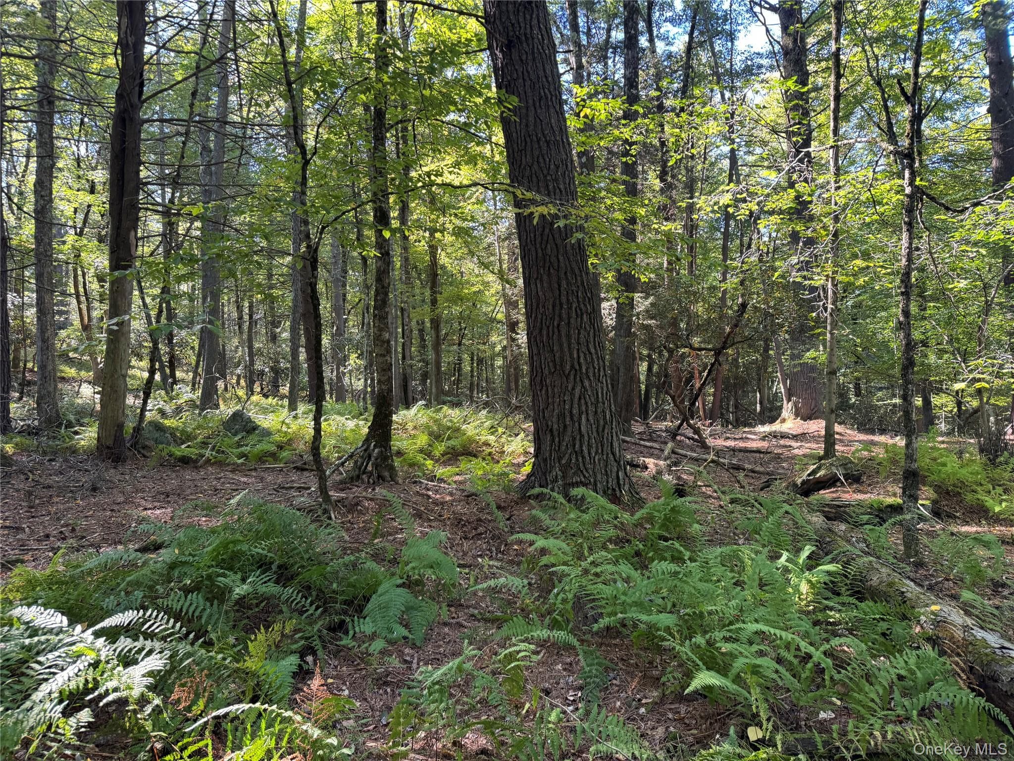 lot 1 Chapin Trail thumbnail 26