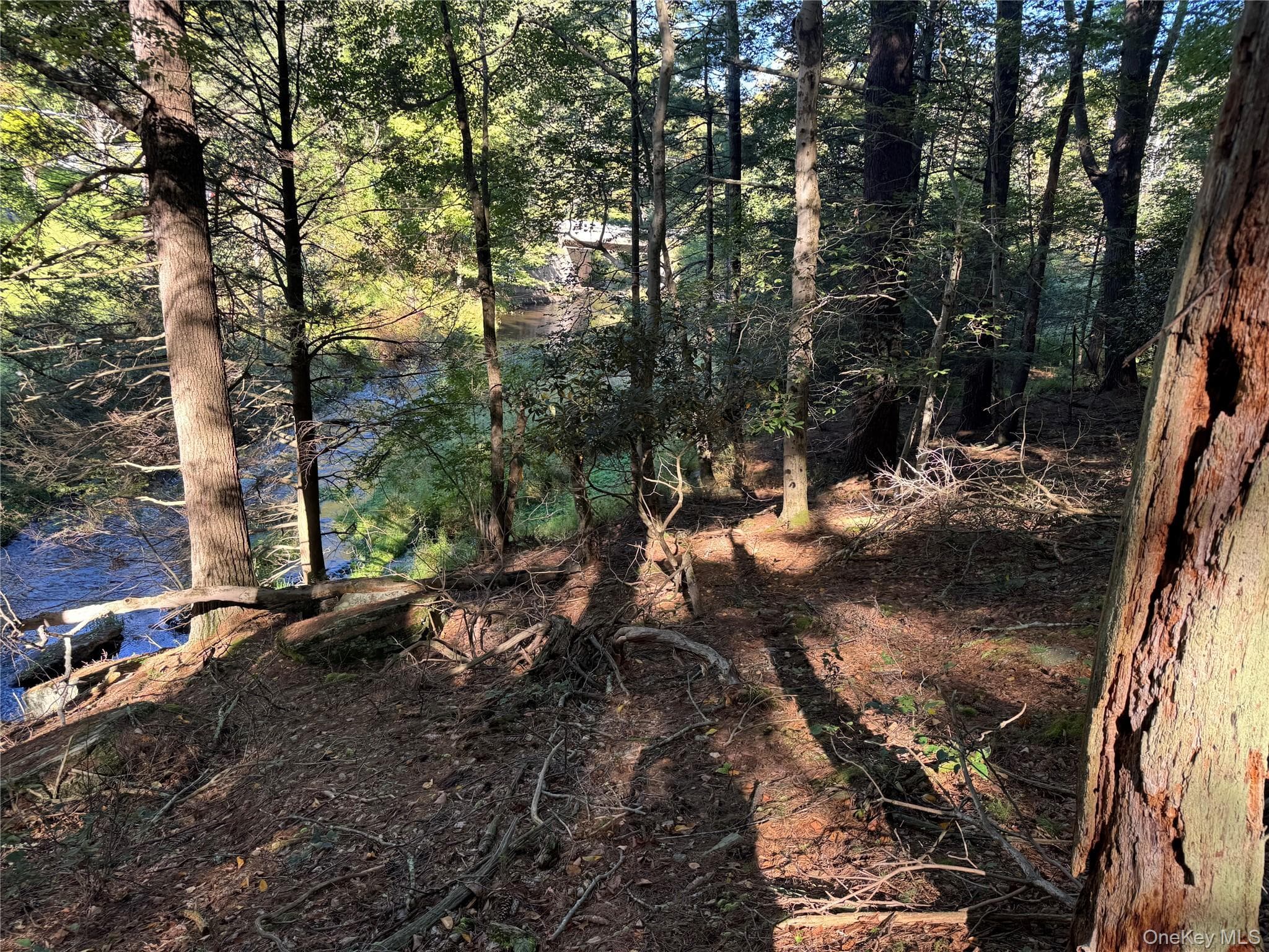 lot 1 Chapin Trail thumbnail 20