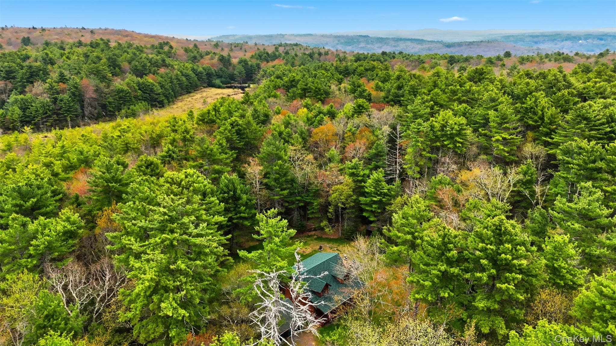 924 Forestburgh Road thumbnail 12