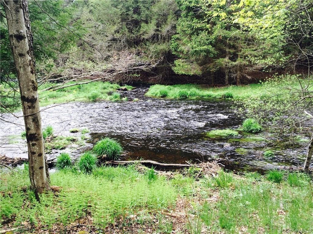 TBD Chapin Trail thumbnail 2