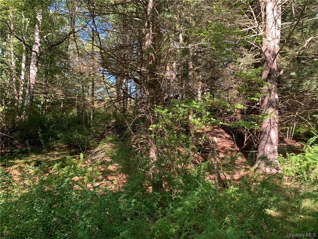 TBD Chapin Trail thumbnail 5