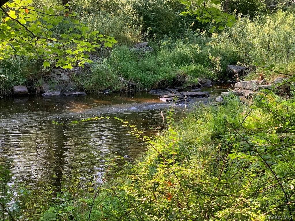 TBD Chapin Trail thumbnail 6