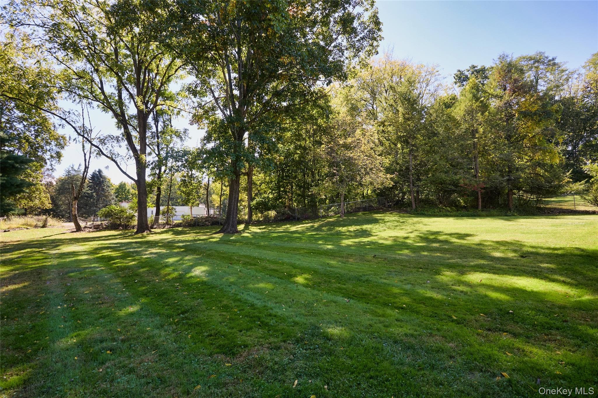 45 Thornwood Drive thumbnail 12