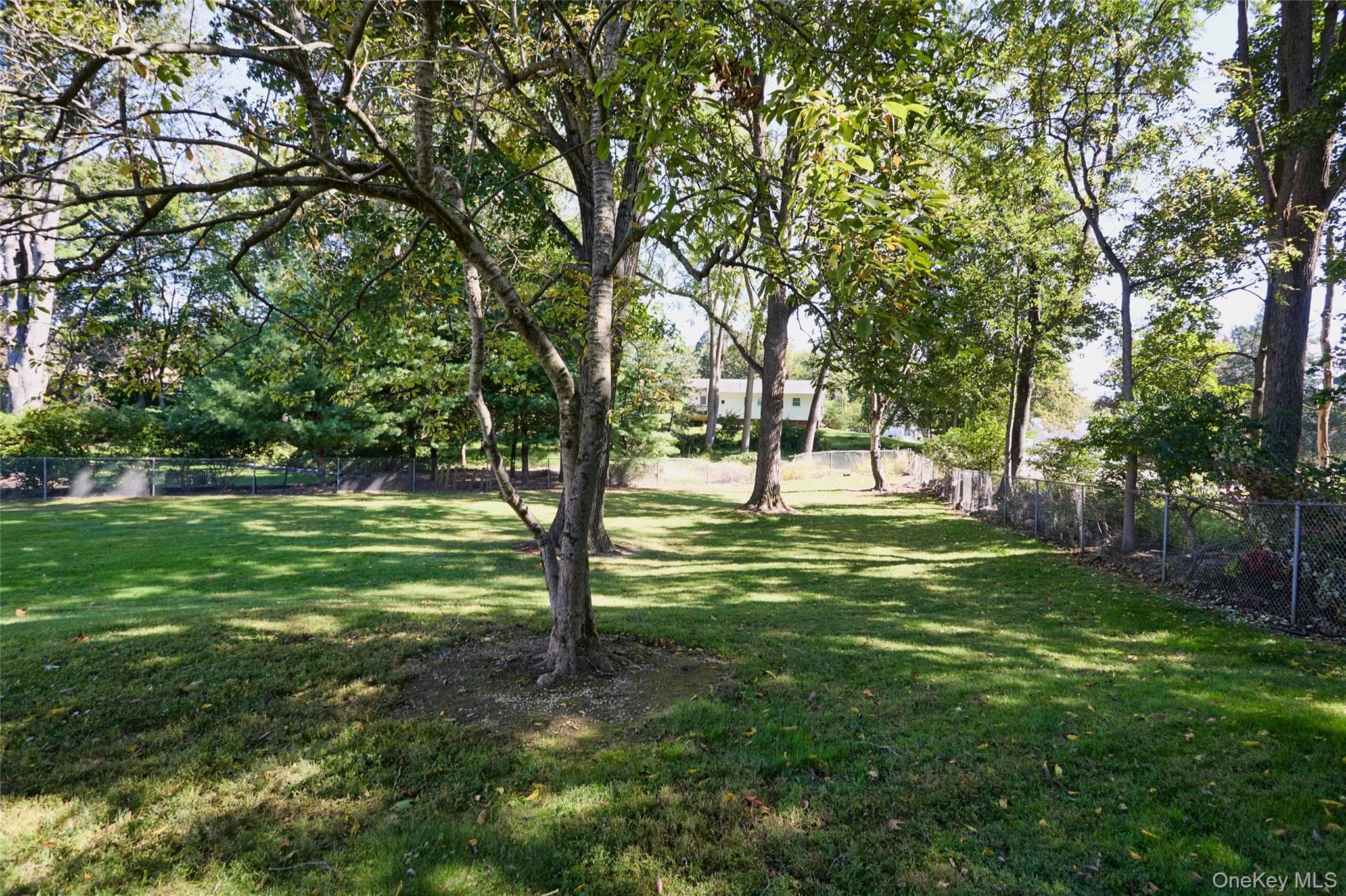 45 Thornwood Drive thumbnail 14