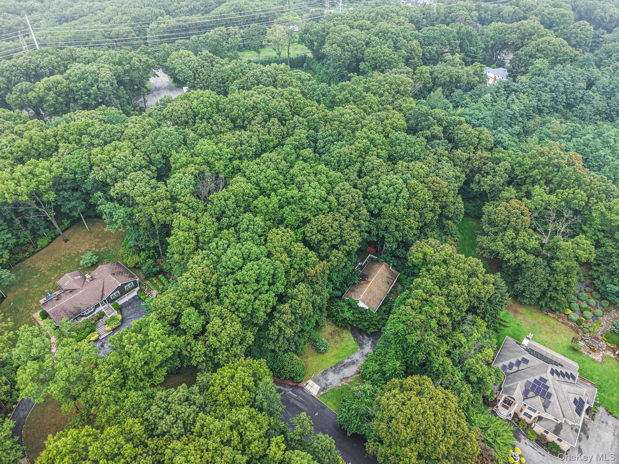 107 W Farm Drive thumbnail 3