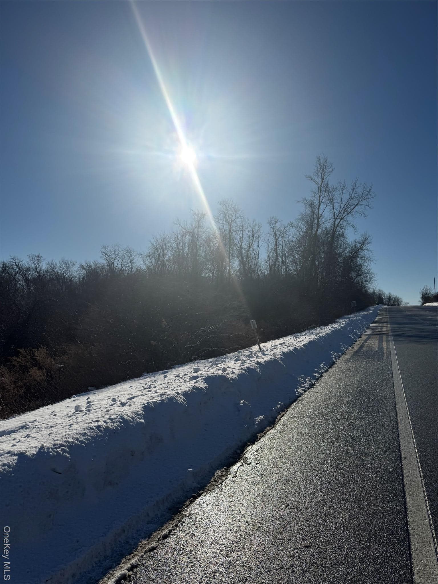 2310 Route 22 thumbnail 8