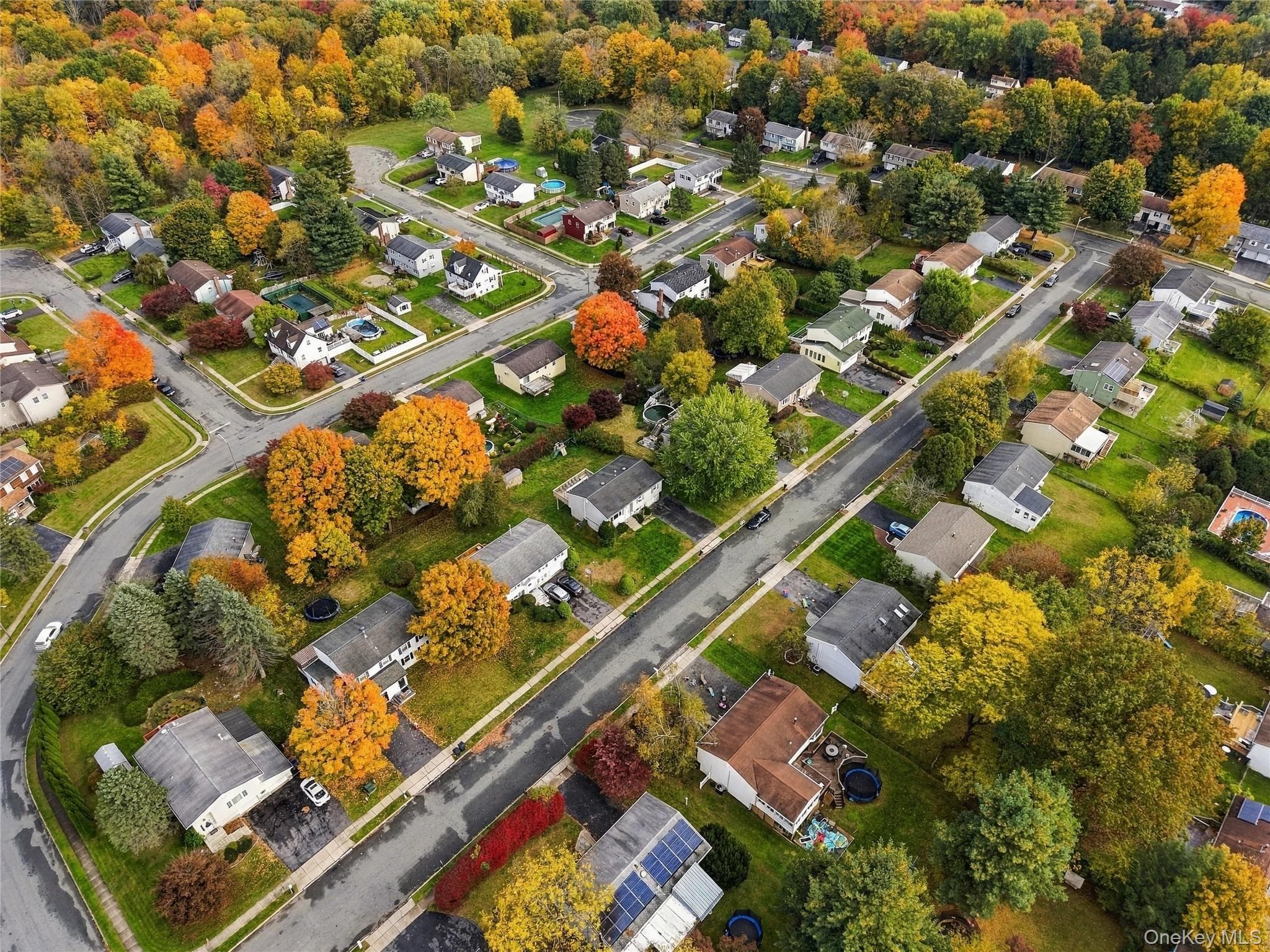 8 Sutherland Drive thumbnail 32