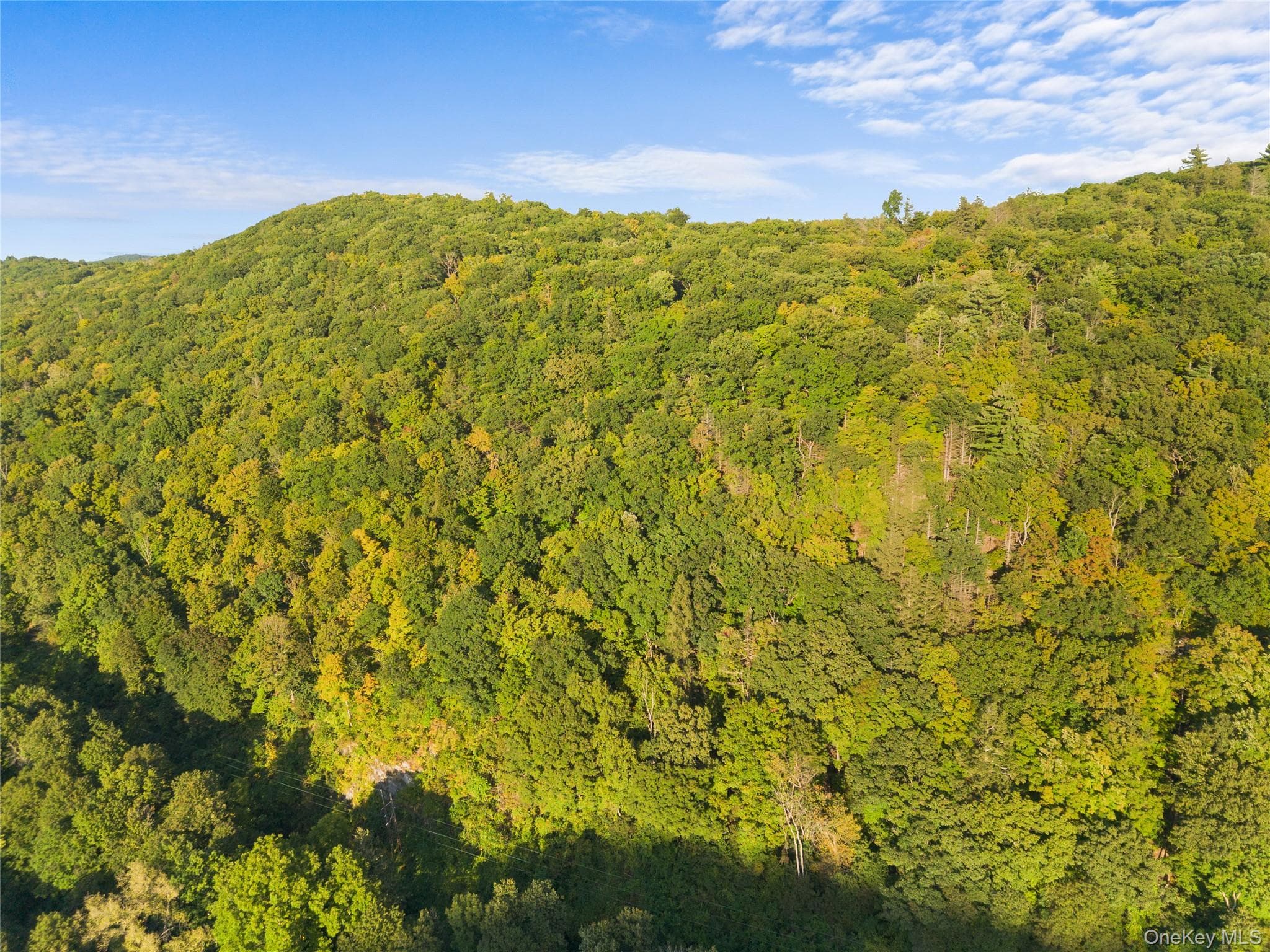 North, Wassaic
